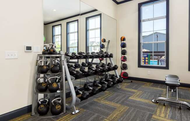 free weights in fitness center