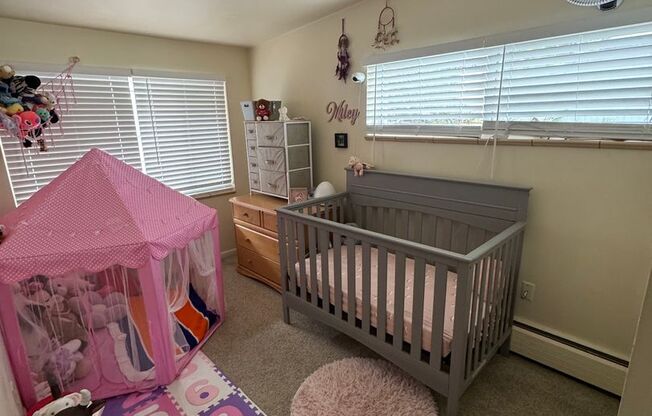 Updated 3-bedroom 1 bathroom in Littleton!