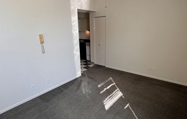 Studio, 1 bath, 320 sqft, $875, Unit 315