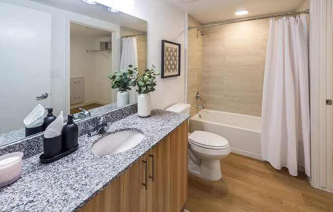 a bathroom with a sink and a toilet