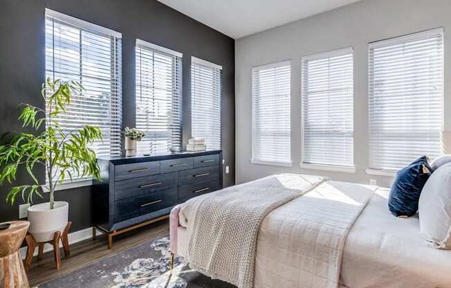 Luxury Apartments in Fort Worth