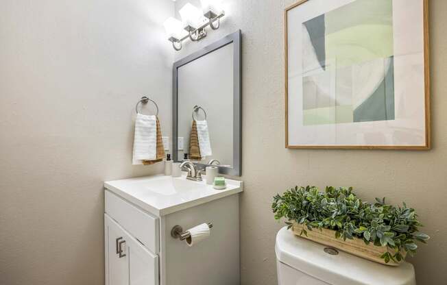 A bathroom with a toilet, sink, mirror, and a plant.
