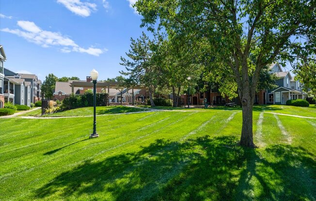A tree stands in a grassy field with a street light to its left. at Somerset Oaks Apartment Homes, Olathe, Kansas
