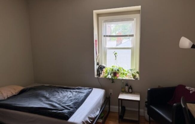 Bright & Affordable Room Near Harvard/MIT