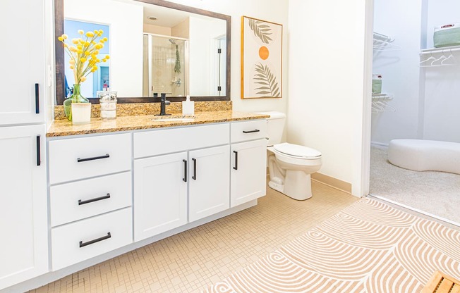 a bathroom with a sink and a toilet