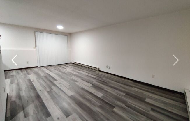 1 bed, 1 bath, 500 sqft, $1,250, Unit 404