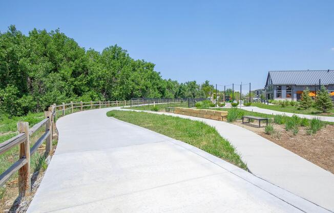 a path with trees on the side of a road