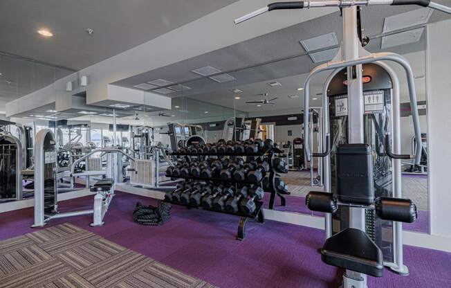 a gym with cardio machines and weights on a purple rug