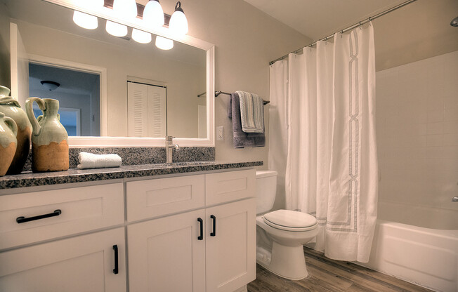 Bathrooms are modern and updated in the deluxe floorplan apartment home.