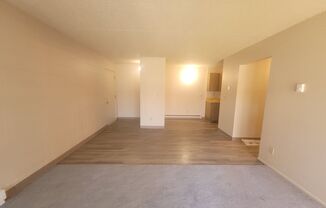 Partner-provided photo for $1125 unit