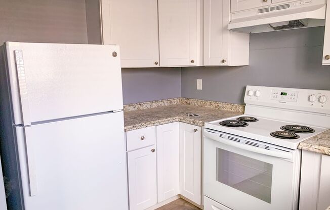 Beautiful Apartment Community with Residential Courtyard