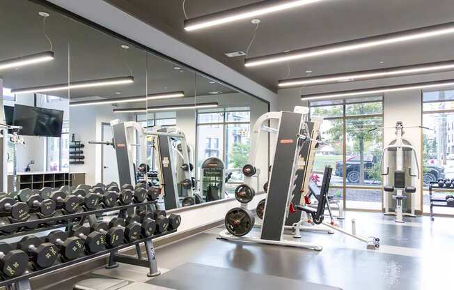 a gym with weights and mirrors on the wall