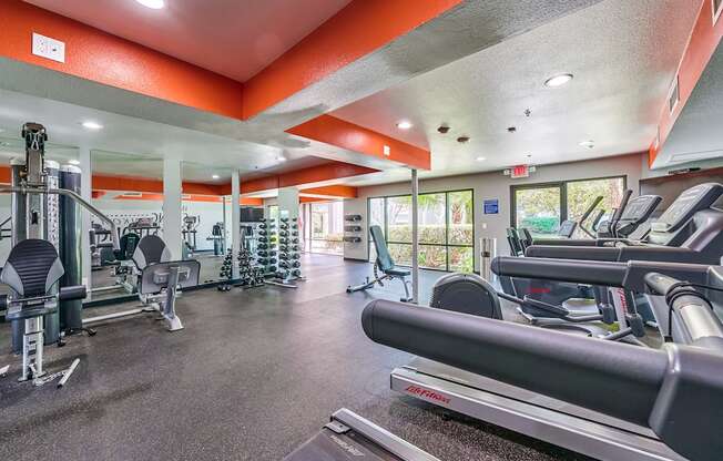 a gym with cardio equipment and weights