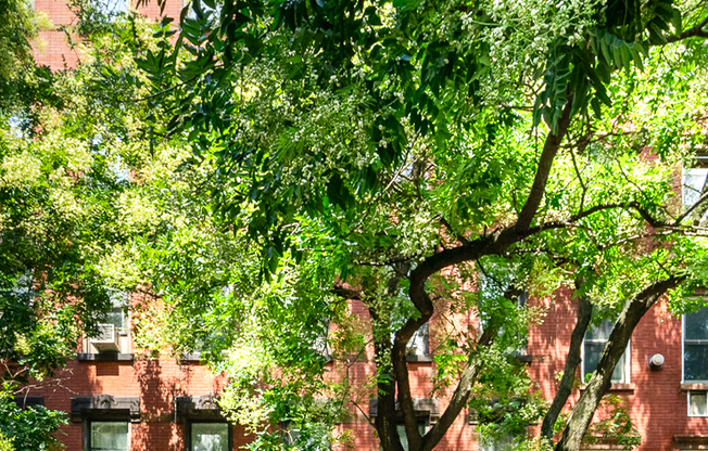 215 E 5 ST