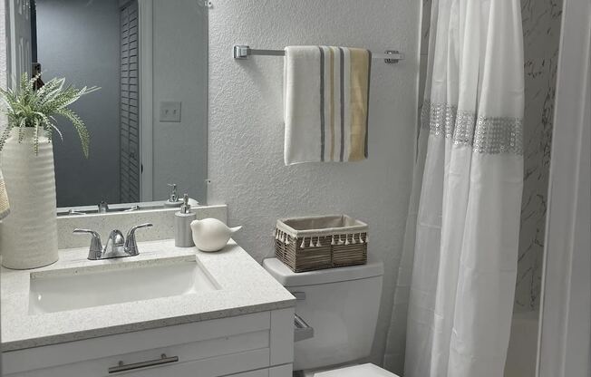 a bathroom with a toilet and a sink and a mirror