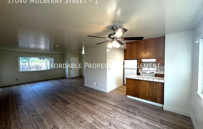 37040 Mulberry Street