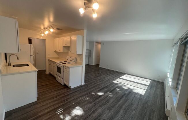 1 bed, 1 bath, 600 sqft, $1,595, Unit Unit 205