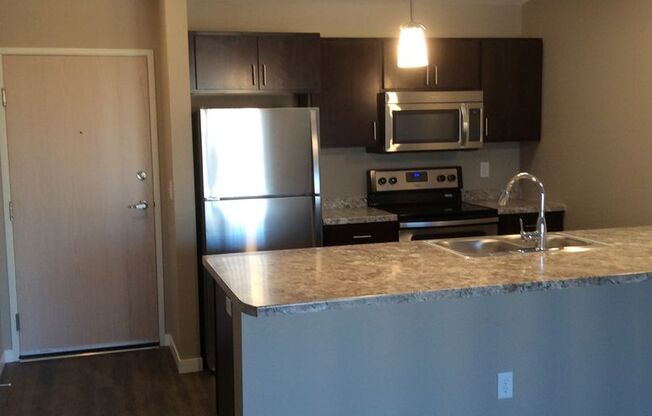 Studio, 1 bath, 789 sqft, $985, Unit 113