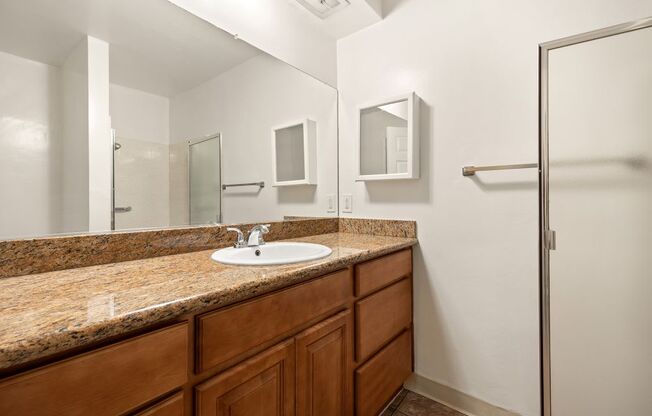 a bathroom with a sink and a shower