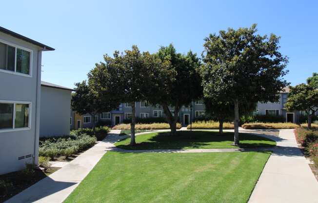 a grassy area with trees in the middle of it