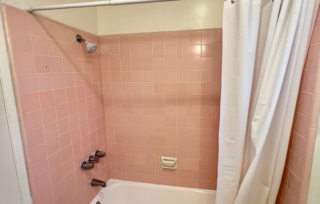 Studio, 1 bath, 500 sqft, $1,595, Unit 342 Temple Ave #3