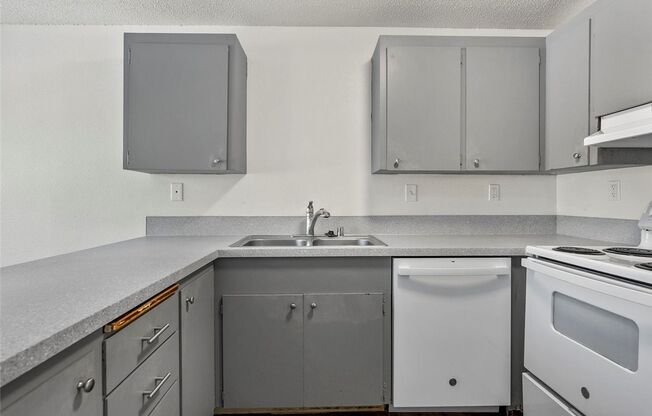 1 bed, 1 bath, 575 sqft, $1,450, Unit 16