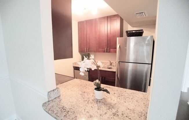 Stunning 1/1 All Remodeled Condo for rent Close to Downtown Orlando.