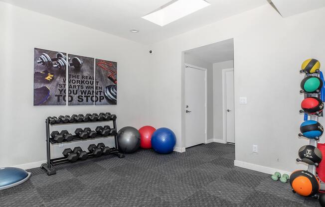 Phoenix, AZ apartments for rent - Monaco31 - State-of-the-art fitness center with fitness on demand, weighted workout balls, dumbells, and yoga balls