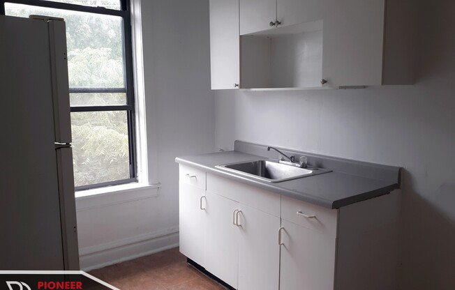 2520 N. Kedzie Boulevard, Unit 3S
