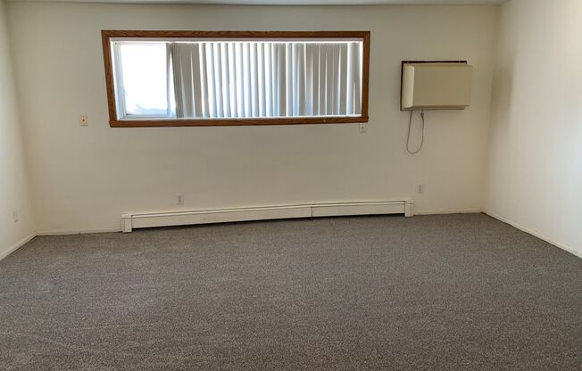 2 beds, 1 bath, 550 sqft, $725, Unit 1119-101