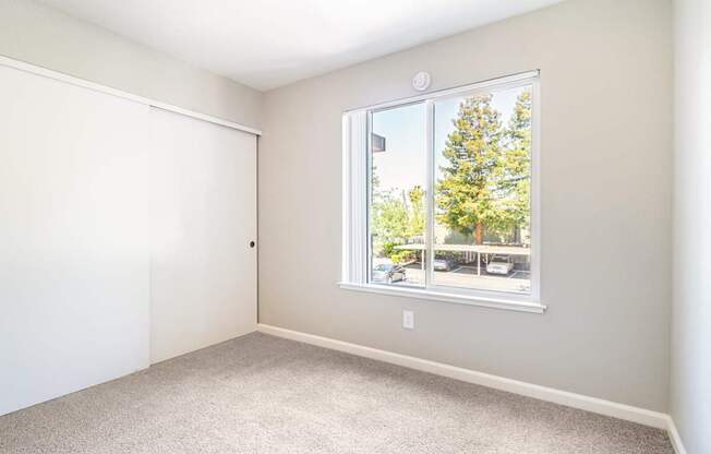 A room with a window showing a tree outside.