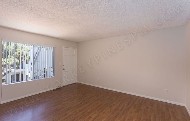 *COMING SOON!* Charming 1 Br Just Blocks From Sail Bay with Parking!