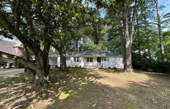 Charming East Memphis home, 3BR/2ba, 1600 sq ft! One dog ok w fees! Fully fenced in back yard.