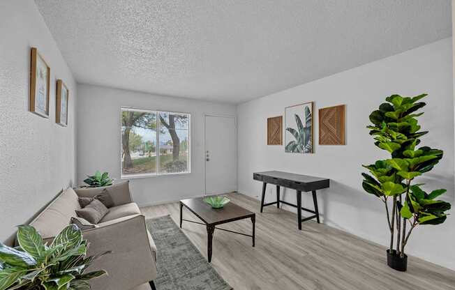 A living room with a grey couch, a coffee table, and a potted plant.