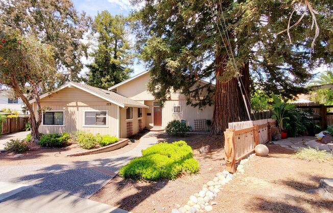 Recently Updated Single Story Home on Quiet Court in Mission San Jose Neighborhood!