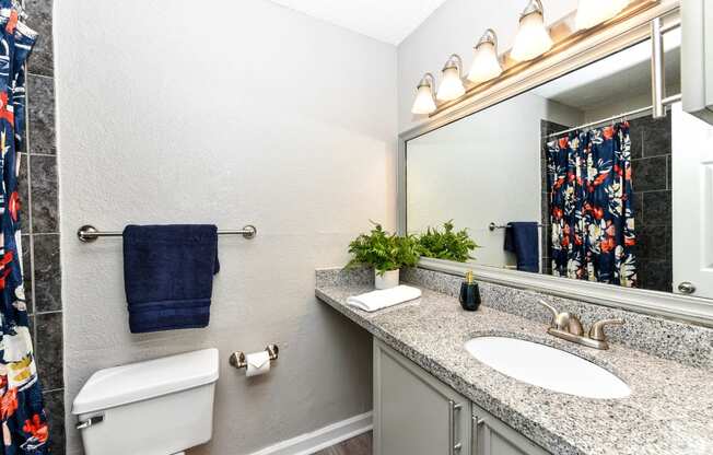 our apartments offer a bathroom with a shower