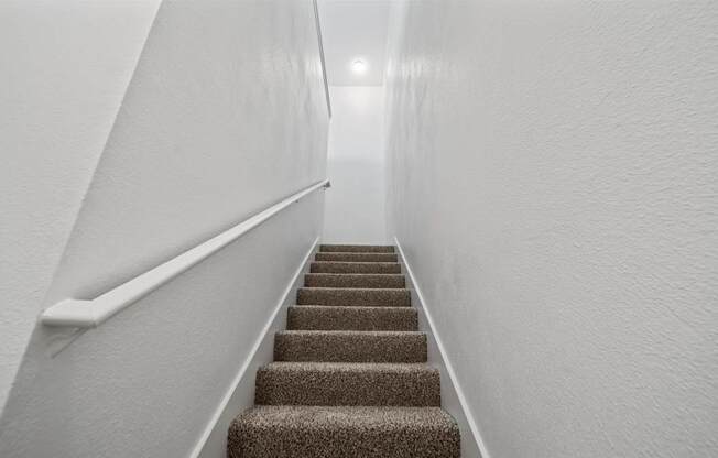A staircase with a carpeted runner and white handrails.