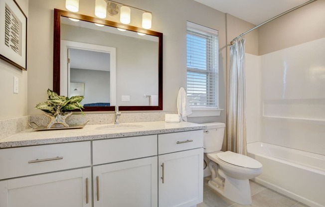 a bathroom with a mirror and a toilet and a shower