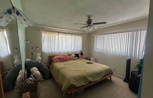 Happy in Heart of Glendale