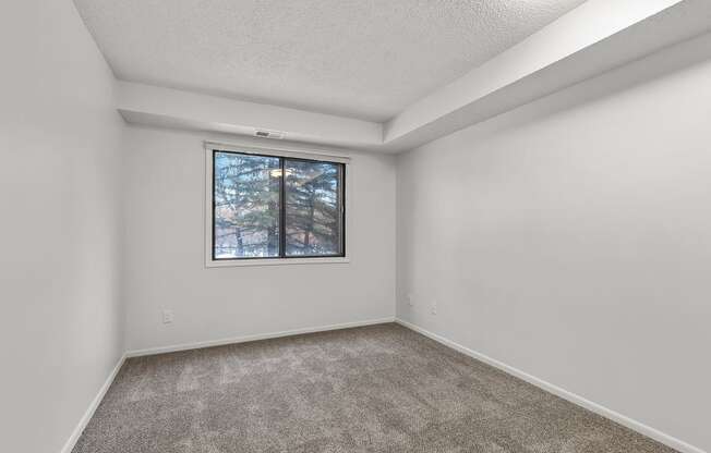 a bedroom with a large window and a carpeted floor