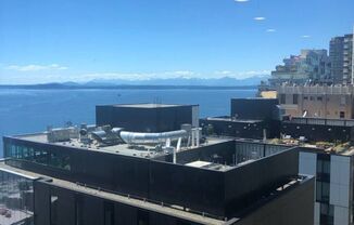 Gorgeous Condo Steps from Pike Place Market!