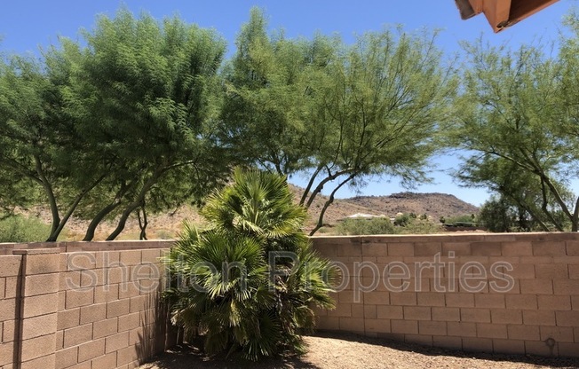 20299 N 51 DR