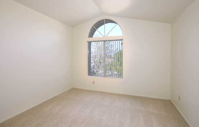 Carpeted Bedroom