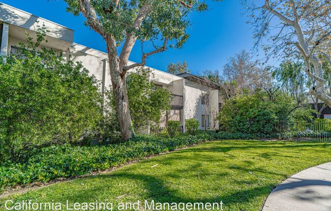 23515 Lyons Ave. #243