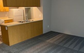 1 bed, 1 bath, 636 sqft, $710, Unit 507-110