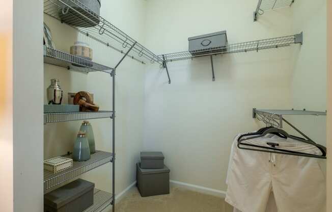 Spacious Walk-In Closet at Aerial Pool and Clubhouse View at Sancerre at Sand Lake Apartments