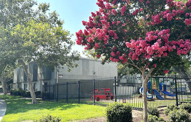 A tree with pink flowers is in the foreground of a sunny day.