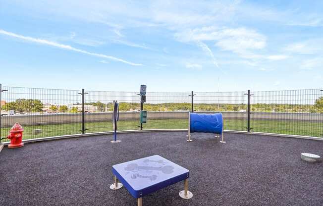 a dog park with a blue table and a fire hydrant