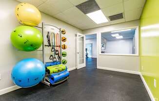 a workout room with weights and other exercise equipment on the wall  at The Park at Chesterfield Apartment Homes, Tampa, FL, 33617