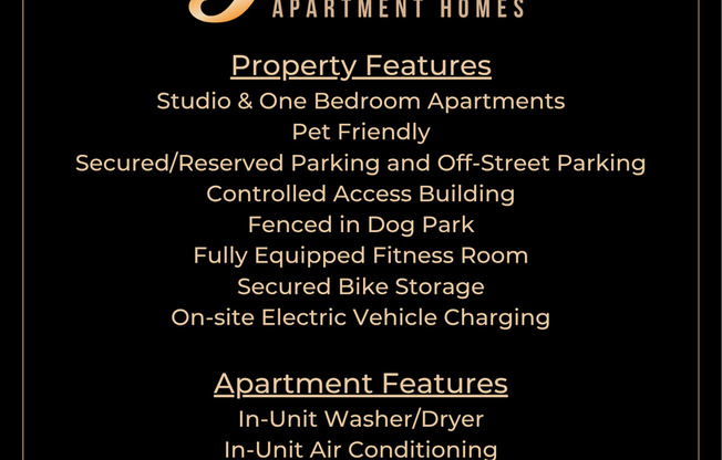 Studio, 1 bath, 351 sqft, $1,299, Unit 104